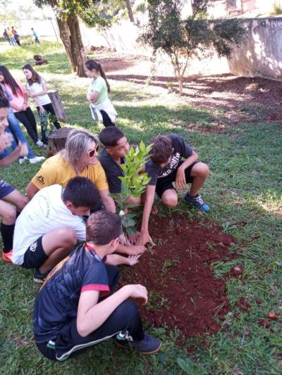 UFFS e Escola Agua Verde realizam plantio de árvores através projeto Ponto De Cultura